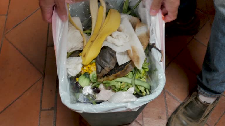 Best Attic Cleanout  in Englewood, FL